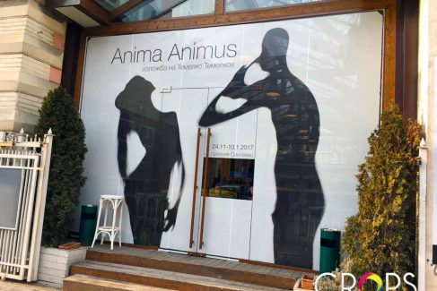 Printing and installation of perforated film