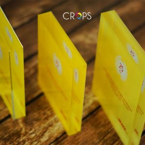 Plexiglass plaques