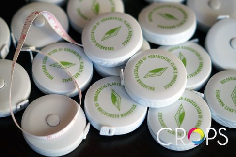 Mini roulettes with logo