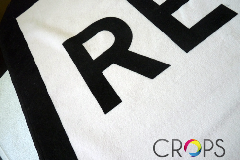 Seal on beach towels