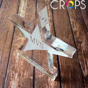 Award Plaques, advertising agency