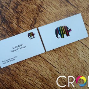 Clean Design of Business Cards, advertising agency