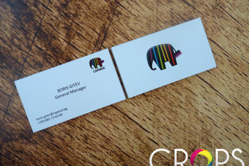 Clean Design of Business Cards, advertising agency