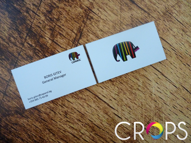 Clean Design of Business Cards, advertising agency