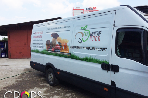 Car graphics, http://cropsadvertising.com