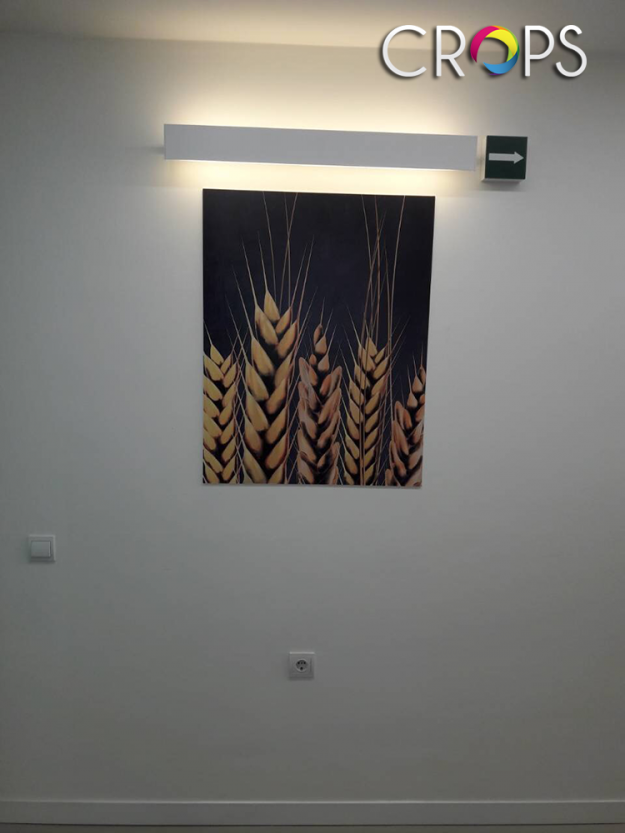Canvas prints, http://cropsadvertising.com